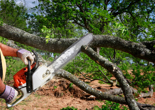 Landscape Design and Installation in Terra Alta, WV